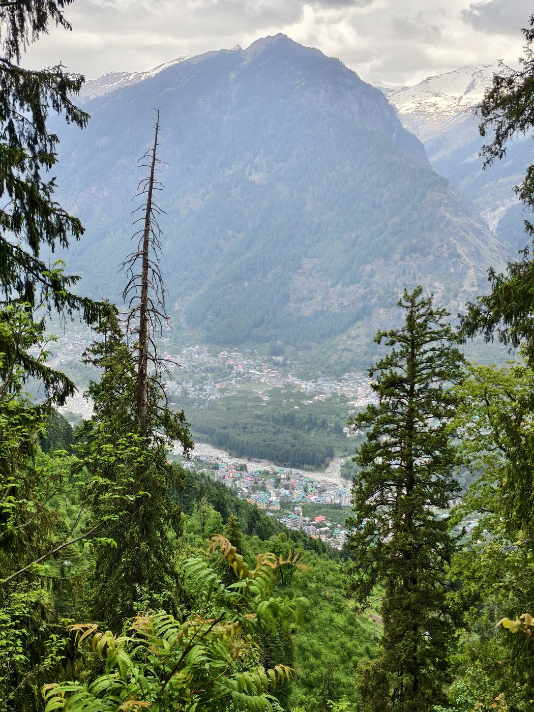 IMG 20260512 150712