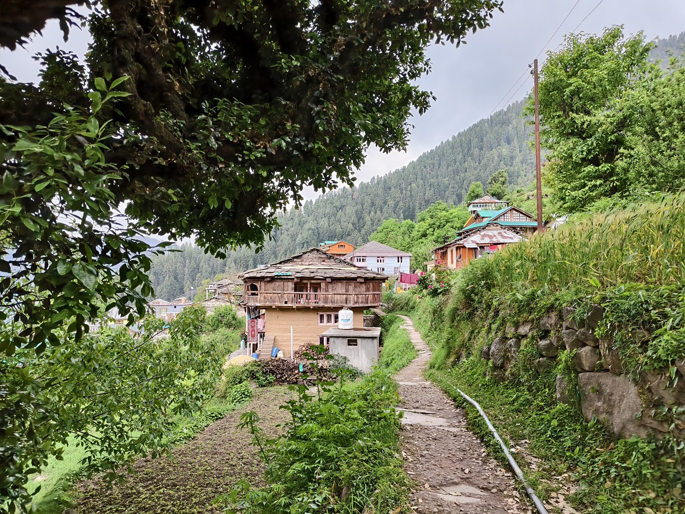 IMG 20260512 165416