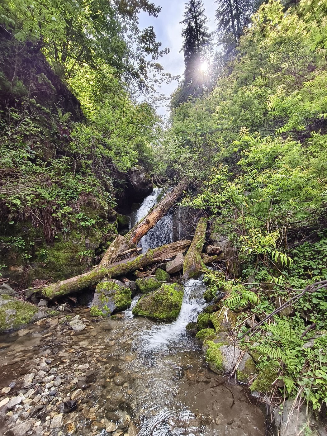 IMG 20260512 153749