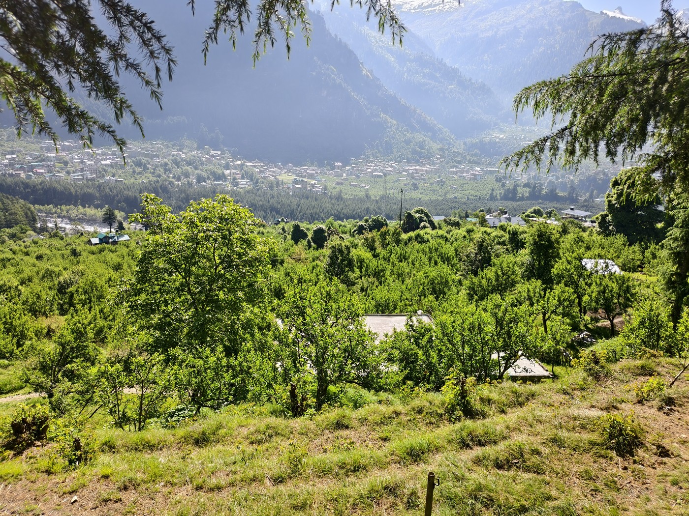 IMG 20260513 085027