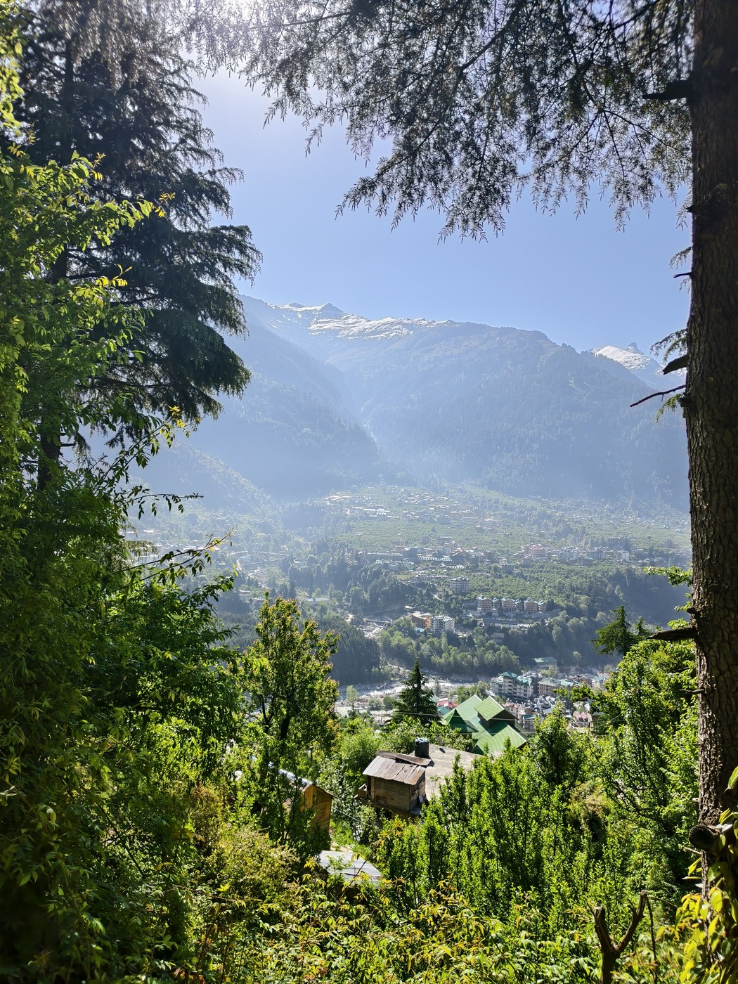 IMG 20260513 082256