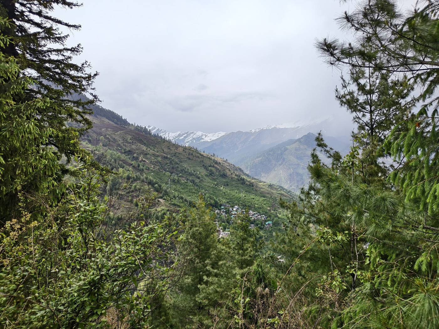 IMG 20260514 160718