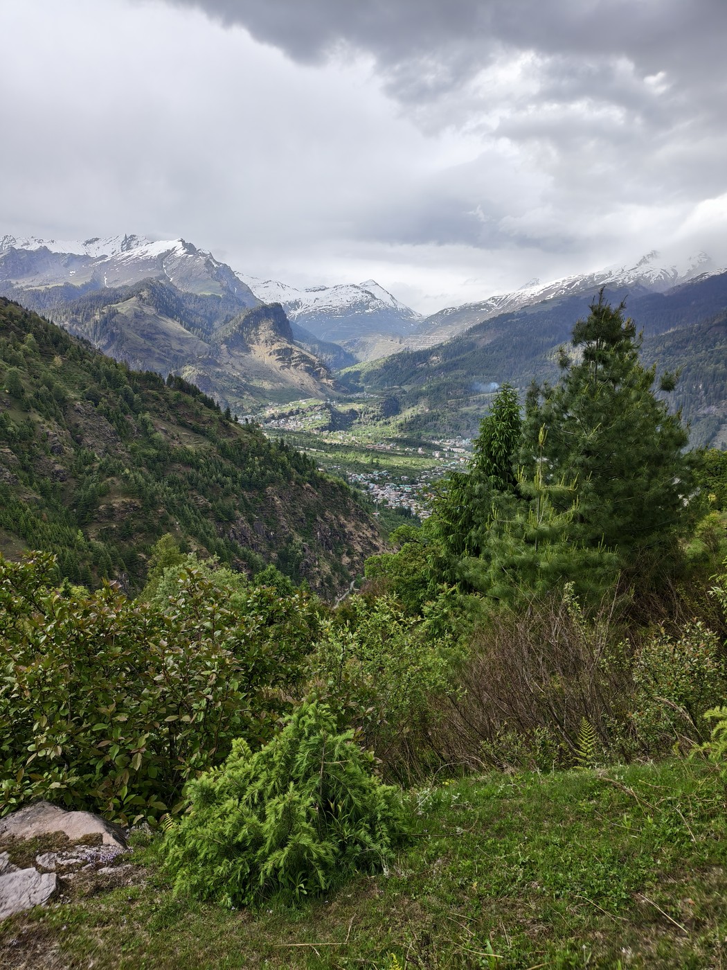 IMG 20260514 163251