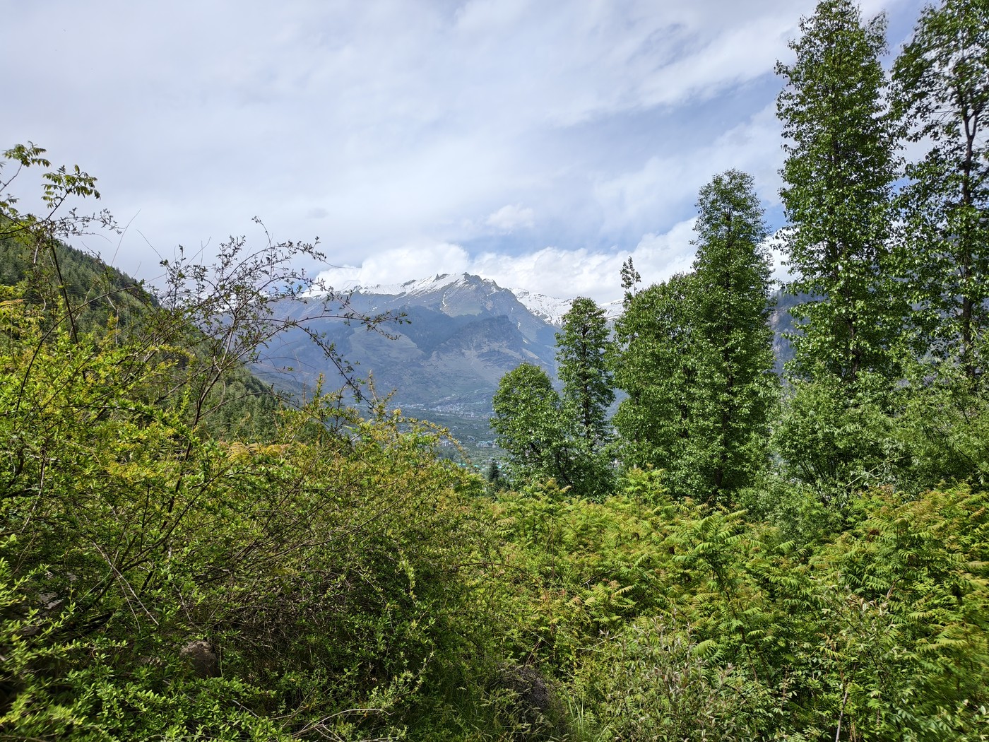 IMG 20260514 143906