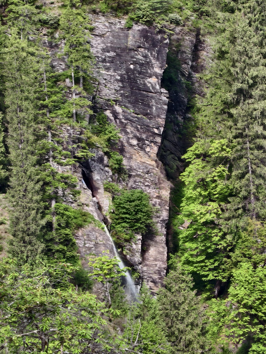 IMG 20260515 073711
