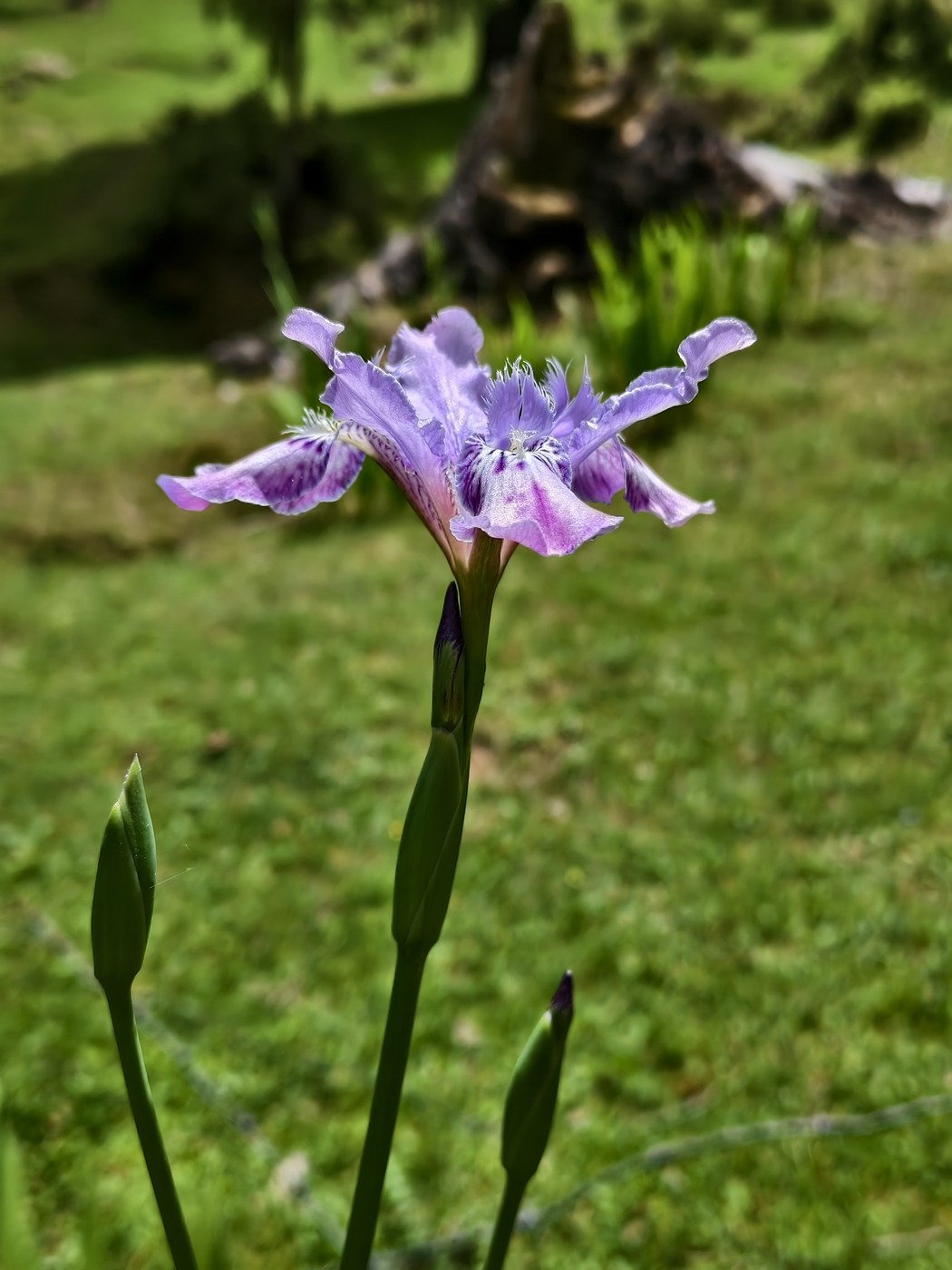 IMG 20260516 124658