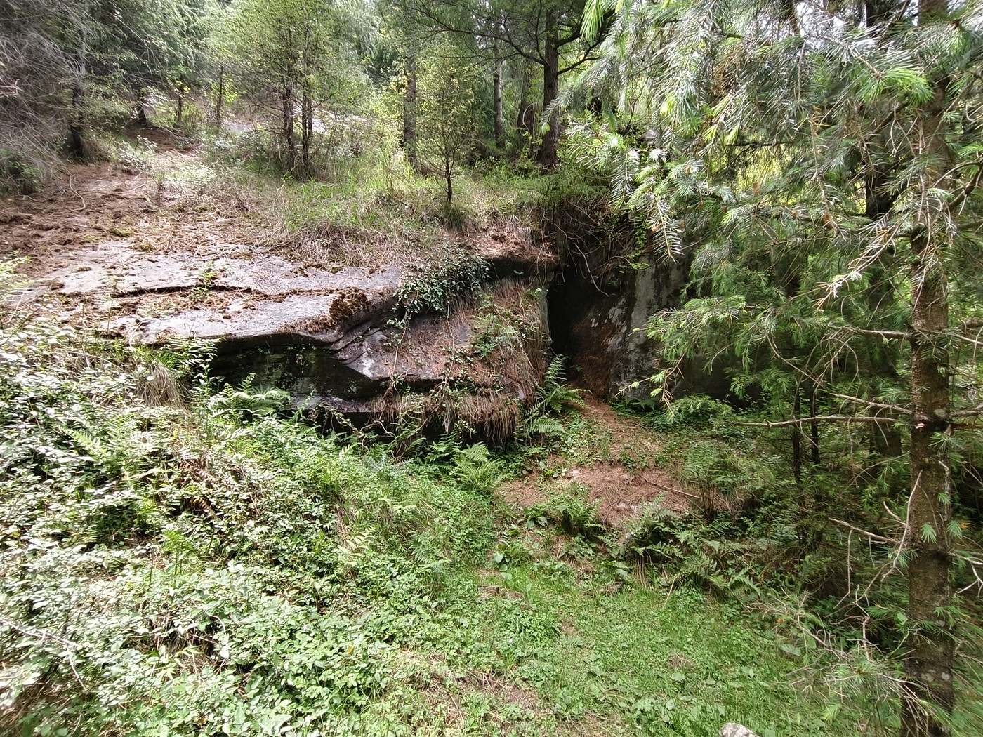 IMG 20260516 134021