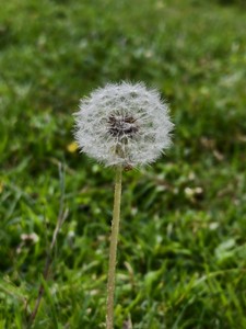 IMG 20260510 165923