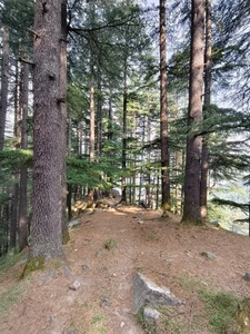 IMG 20260510 160656