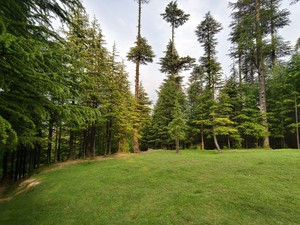 IMG 20260510 165939
