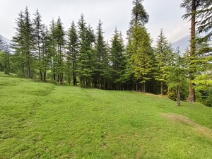 IMG 20260510 165837