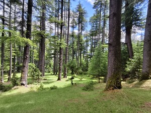 IMG 20260511 114809