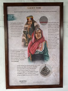 IMG 20260512 175131
