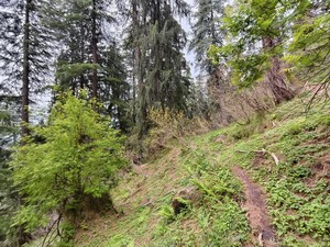 IMG 20260512 152917