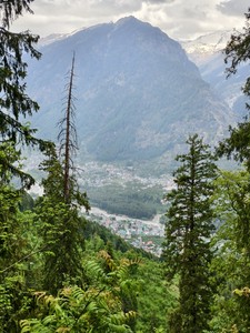 IMG 20260512 150712