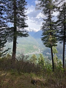 IMG 20260512 154905