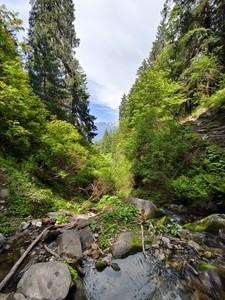 IMG 20260512 153805