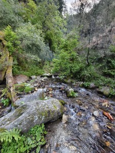IMG 20260512 183255