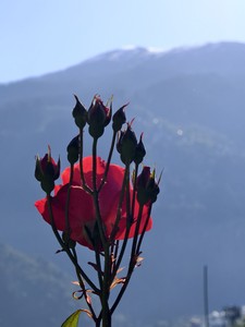 IMG 20260513 075938
