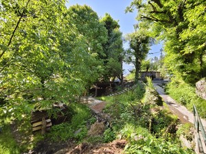 IMG 20260513 090709