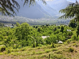 IMG 20260513 085027