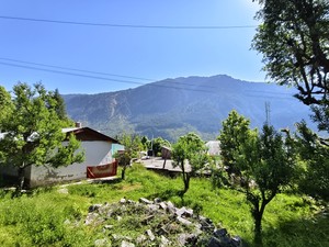 IMG 20260513 090938