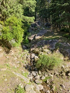 IMG 20260513 073630