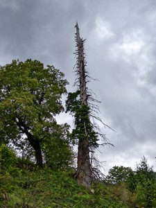 IMG 20260514 162308