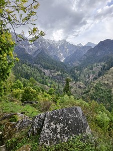 IMG 20260514 162533