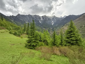 IMG 20260514 161411