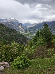 IMG 20260514 163251