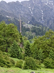 IMG 20260514 161806