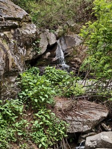 IMG 20260514 153746