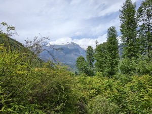 IMG 20260514 143906
