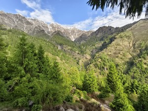 IMG 20260515 073415