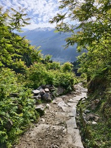 IMG 20260515 080041
