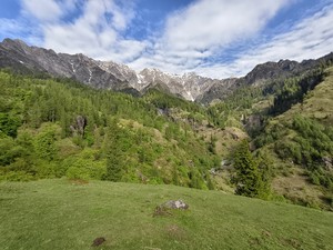 IMG 20260515 074151