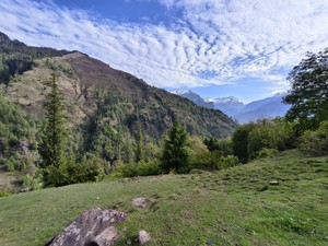 IMG 20260515 074155
