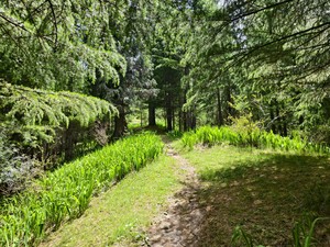 IMG 20260516 130836