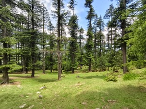 IMG 20260516 125429