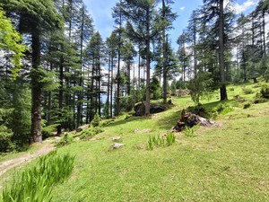 IMG 20260516 124638