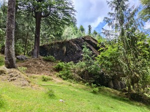 IMG 20260516 123201